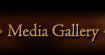 Media Gallery